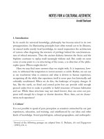 NOTES FOR A CULTURAL AESTHETIC docx