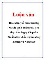 Luận văn: Hoạt động kế toán tiêu thụ và xác định doanh thu tiêu thụ của công ty Cổ phần Xuất nhập khẩu vật tư nông nghiệp và Nông sản potx