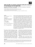 Báo cáo khoa học: CpG and LPS can interfere negatively with prion clearance in macrophage and microglial cells pdf