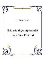 TIỂU LUẬN: Báo cáo thực tập tại nhà máy điện Phả Lại pdf