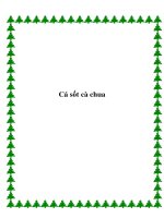 Cá sốt cà chua doc