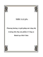 TIỂU LUẬN: Phương hướng và giải pháp mở rộng thị trường tiêu thụ sản phẩm ở Công ty Bánh kẹo Hải Châu ppt