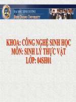 Dùng thực vật cải tạo môi trường pptx