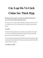 Các Loại Da Và Cách Chăm Sóc Thích Hợp doc