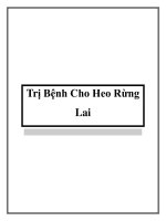 Trị Bệnh Cho Heo Rừng Lai pdf