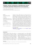 Báo cáo khoa học: Catalytic reaction mechanism of Pseudomonas stutzeri L-rhamnose isomerase deduced from X-ray structures doc