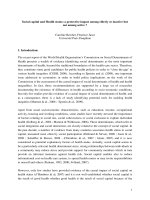 Social capital and Health status: a protective impact among elderly or inactive but not among active ? doc