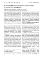 Báo cáo Y học: A critical motif for oligomerization and chaperone activity of bacterial a-heat shock proteins pot