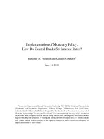 Implementation of Monetary Policy: How Do Central Banks Set Interest Rates? doc