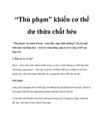 “Thủ phạm” khiến cơ thể dư thừa chất béo potx