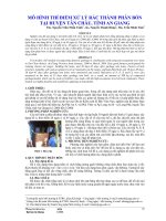 Mô hình thí điểm xử lý rác thành phân bón tại huyện Tân Châu, Tỉnh An Giang pot