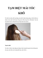 TẠM BIỆT MÁI TÓC KHÔ docx