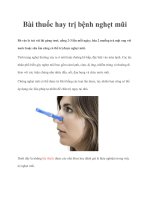 Bài thuốc hay trị bệnh nghẹt mũi doc