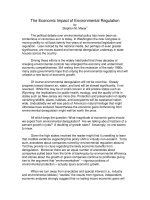 The Economic Impact of Environmental Regulation pptx