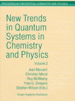 NEW TRENDS IN QUANTUM SYSTEMS IN CHEMISTRY AND PHYSICS ppt