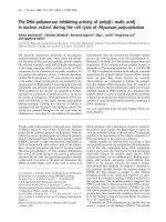 Báo cáo Y học: The DNA-polymerase inhibiting activity of poly(b-L-malic acid) in nuclear extract during the cell cycle of Physarum polycephalum pot