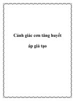 Cảnh giác cơn tăng huyết áp giả tạo ppt