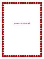 Bí đỏ chữa dạ dày, lao phổi. pdf