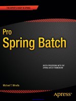 Pro Spring Batch pptx
