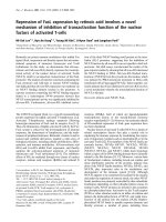 Báo cáo Y học: Repression of FasL expression by retinoic acid involves a novel mechanism of inhibition of transactivation function of the nuclear factors of activated T-cells pptx