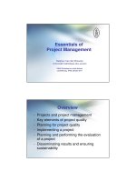 Essentials of Project Management potx