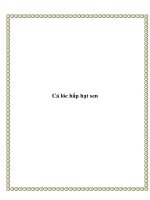 Cá lóc hấp hạt sen pot