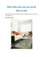 Điểm nhấn màu cam cho căn hộ thêm cá tính pdf