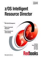 z/OS Intelligent Resource Director pptx
