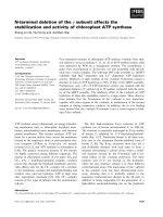 Báo cáo khoa học: N-terminal deletion of the c subunit affects the stabilization and activity of chloroplast ATP synthase doc