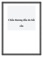 Chấn thương đầu do bất cẩn docx