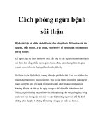 Cách phòng ngừa bệnh sỏi thận ppt