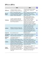 BIO 101 DNA vs RNA