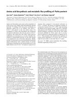 Báo cáo khoa học: Amino acid biosynthesis and metabolic ﬂux proﬁling of Pichia pastoris ppt