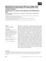 Báo cáo khoa học: Biochemical and structural analyses of a higher plant photosystem II supercomplex of a photosystem I-less mutant of barley pot