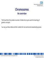 Explanation slides chromosomes