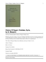 History Of Egypt, Chaldæa, Syria, Babylonia, and Assyria, Volume 7 (of 12) potx