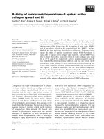 Báo cáo khoa học: Activity of matrix metalloproteinase-9 against native collagen types I and III potx