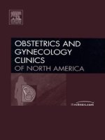 Obstetrics and Gynecology Clinics of North America, guest edited by Henry Galan pdf