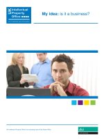 My idea: is it a business? pptx