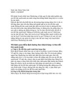 Mô hình chiến lược cạnh tranh potx