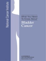What You Need To Know About - Bladder Cancer potx