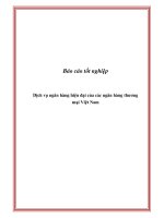 Báo cáo tốt nghiệp Dịch vụ ngân hàng hiện đại của các ngân hàng thương mại Việt Nam pdf