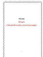Tiểu luận :Kế hoạch Chiến dịch PR cho dịch vụ Xê ôm Chuyên nghiệp pdf