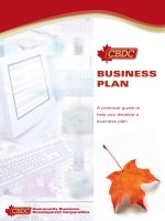 BUSINESS PLAN: A practical guide to help you develop a business plan pptx