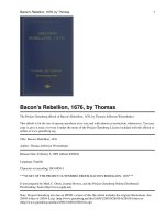 Bacon''''s Rebellion, 1676 pot