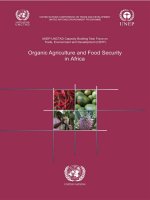 Organic Agriculture and Food Security in Africa pot