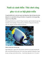 Nuôi cá cảnh biển: Thú chơi công phu và có cơ hội phát triển pot