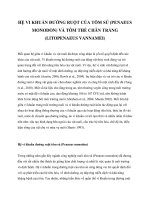 HỆ VI KHUẨN ĐƯỜNG RUỘT CỦA TÔM SÚ (PENAEUS MONODON) VÀ TÔM THẺ CHÂN TRẮNG (LITOPENAEUS VANNAMEI) doc