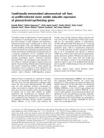 Báo cáo Y học: Conditionally immortalized adrenocortical cell lines at undifferentiated states exhibit inducible expression of glucocorticoid-synthesizing genes pot