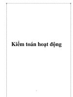 KIỂM TOÁN HOẠT ĐỘNG pot